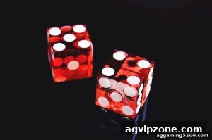 AG真人 agvipzone